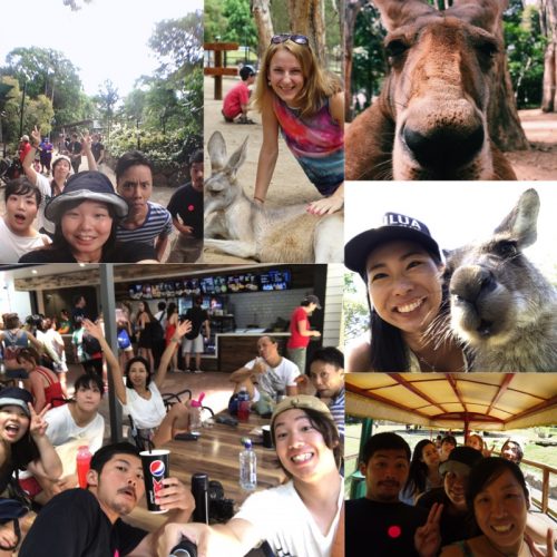 Currumbinzoo