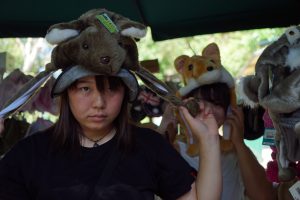 zoo_244